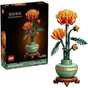 Chrysanthemum