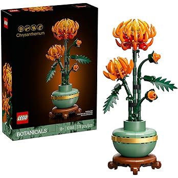 Chrysanthemum