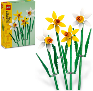 40747: Daffodils